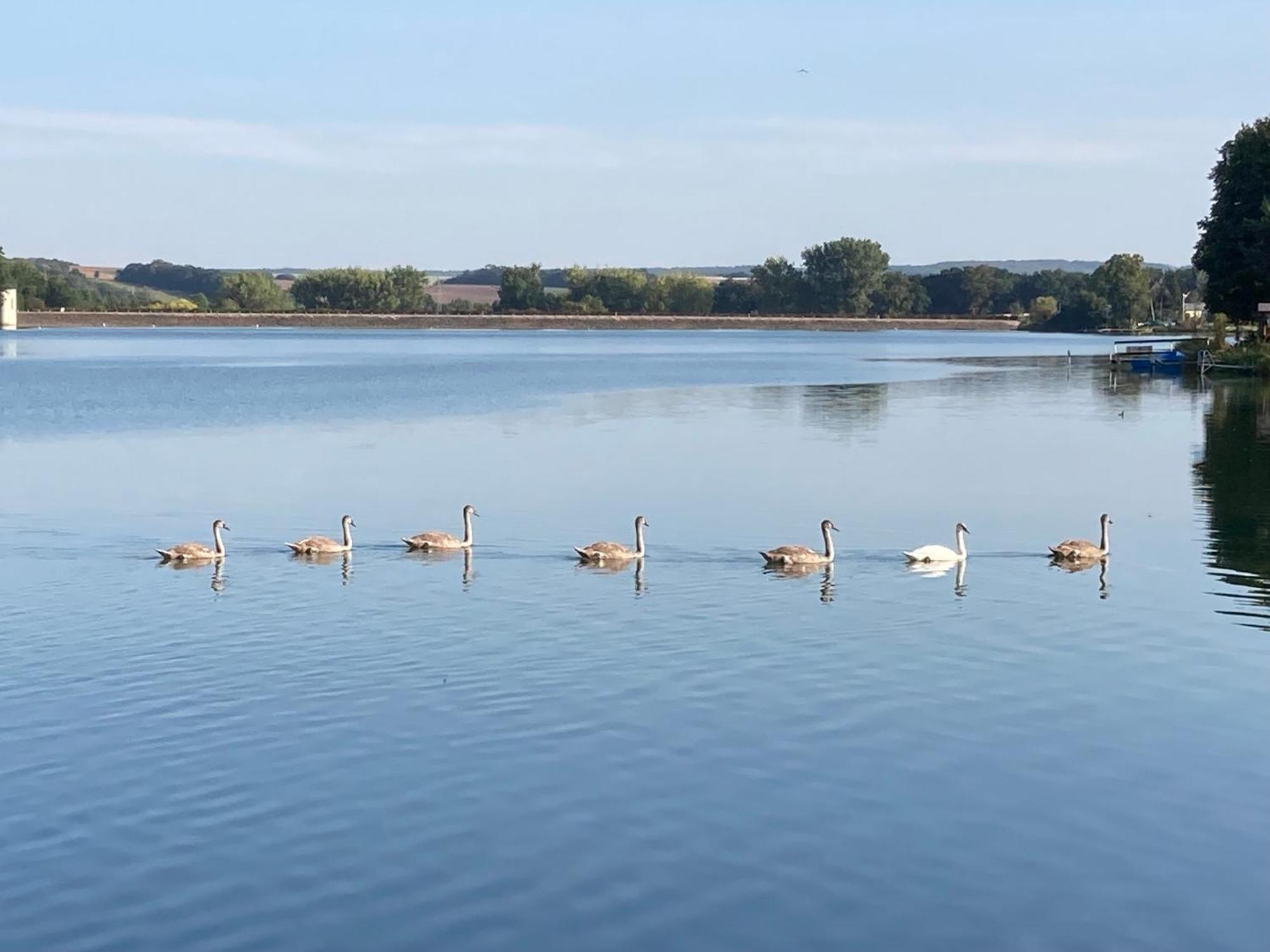 Campingfass Mit Panoramaterrasse Langenbernsdorf Εξωτερικό φωτογραφία